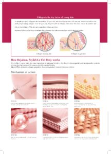 Rejubeau Stylish Le Ciel Rosy PLLA 365mg Derma Filler